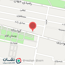 عکس اتو سرویس ناصر