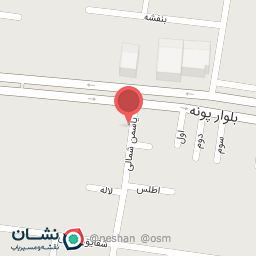 عکس برنج گیلان