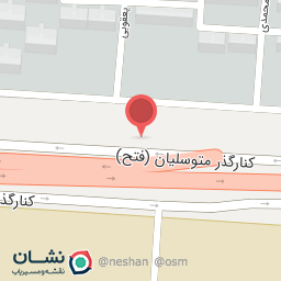 عکس روغن آسانسور کاسپین طباطبائی 