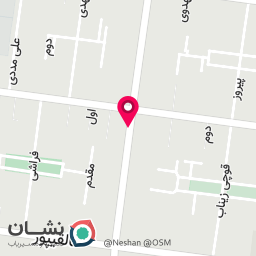 عکس مرغ  و گوشت فروشی امیر