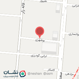 عکس الکترو پتوس