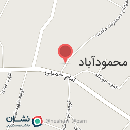 عکس گل فروشی نگین