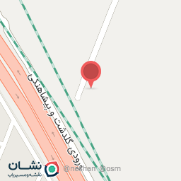 عکس نهال گردو چندلر گلدانی