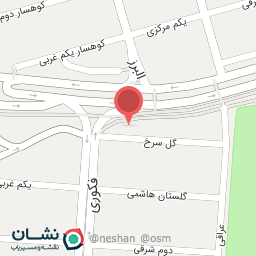 عکس دکتر لادن رضایی عدل