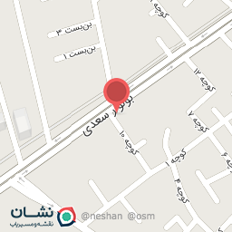 عکس تزئینات اتومبیل شهرام