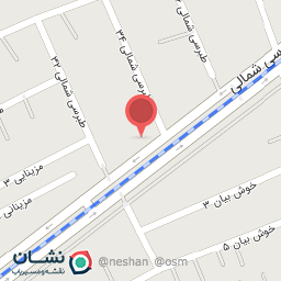 عکس خودپرداز غیرنقدی