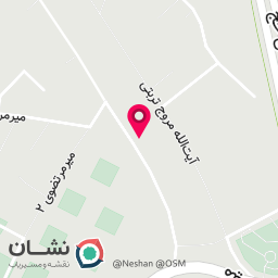 عکس نقره خام رحمانیان