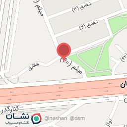 عکس مکانیکی استاد محمد پهلوان نژاد