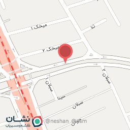 عکس دکتر زیبا دلخواه