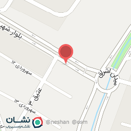 عکس فست فود مهدی