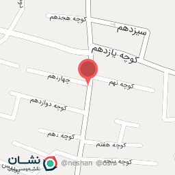 عکس فروشگاه لوازم حیوانات پتکده