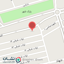 عکس تزئینات اتومبیل علی