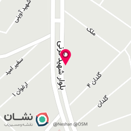 عکس فرش بزرگمهر