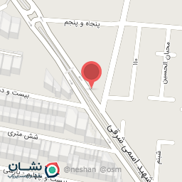 عکس پیتزا کاکتوس