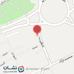 عکس لاستیک فروشی آراز (فرشید میشیلین)