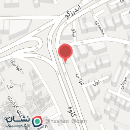 عکس دکتر محمد باقر سبط الشیخ