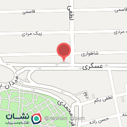 عکس پیتزا امید