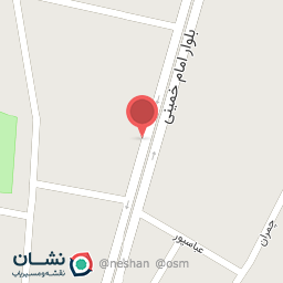 عکس پیتزامسافر