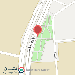 عکس پیتزا راما