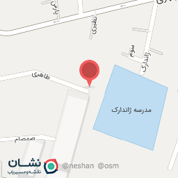 عکس دکتر فیش
