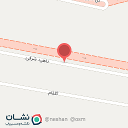 عکس دکتر کاملیا ساداتی