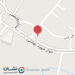 عکس کفش ملی