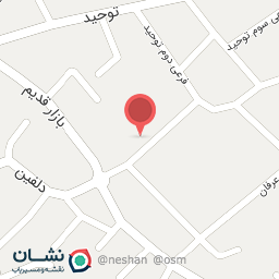 عکس نخل تقی 