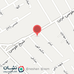 عکس مرغ بریان طلایی 