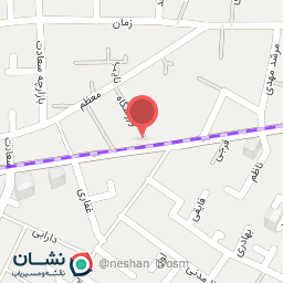 عکس باربیکیو شیرازی