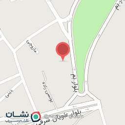 عکس نگین خودرو شعبه همدان