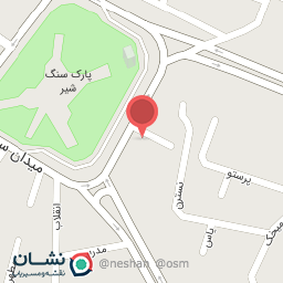 عکس کفش پایا