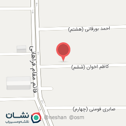 عکس دکتر رامیز کامرانی