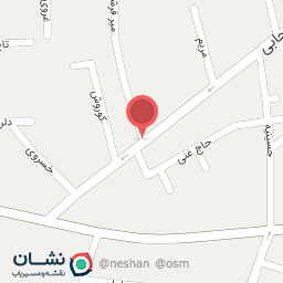 عکس سبزی خورد کنی و میوه فروشی سنجابی. ارسال رایگان