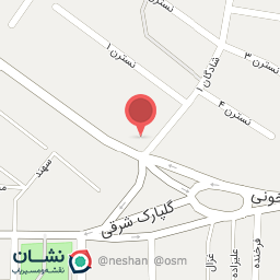 عکس پخش مرغ و تخم مرغ ناصر 