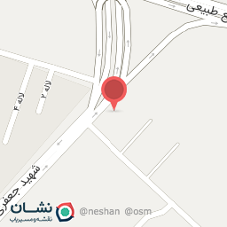 عکس صافکاری و نقاشی شیرانیان