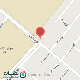 عکس پاچینی سروش