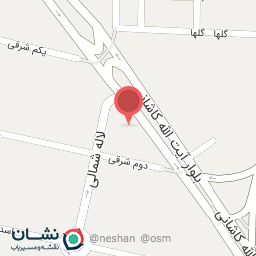 عکس مرغ آتشین غرب