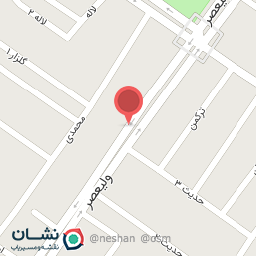 عکس کیف و کفش علی