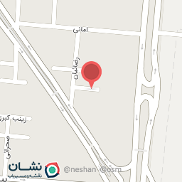 عکس مدرسه شطرنج پارسا 