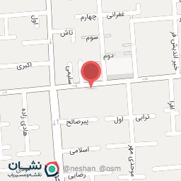 عکس تهیه غذای هانی 