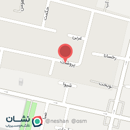 عکس شرکت رویانا گیفت