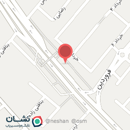 عکس پیتزا خان