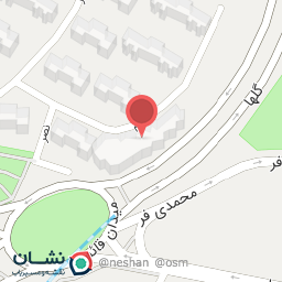 عکس کفش نگین