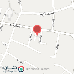 عکس دکتر حسن فصولی ( متخصص زنان و زایمان و نازایی )