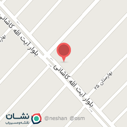 عکس پیتزا فست فود