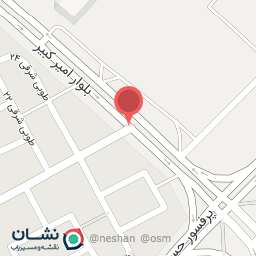 عکس غذای بیرونبر سراشپز