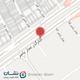 عکس عماریاسر 71