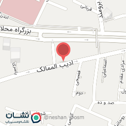 عکس چارز برگر ذغالی