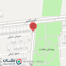 عکس اگزوز سازی برادران ۱