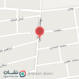 عکس فست فود راینو